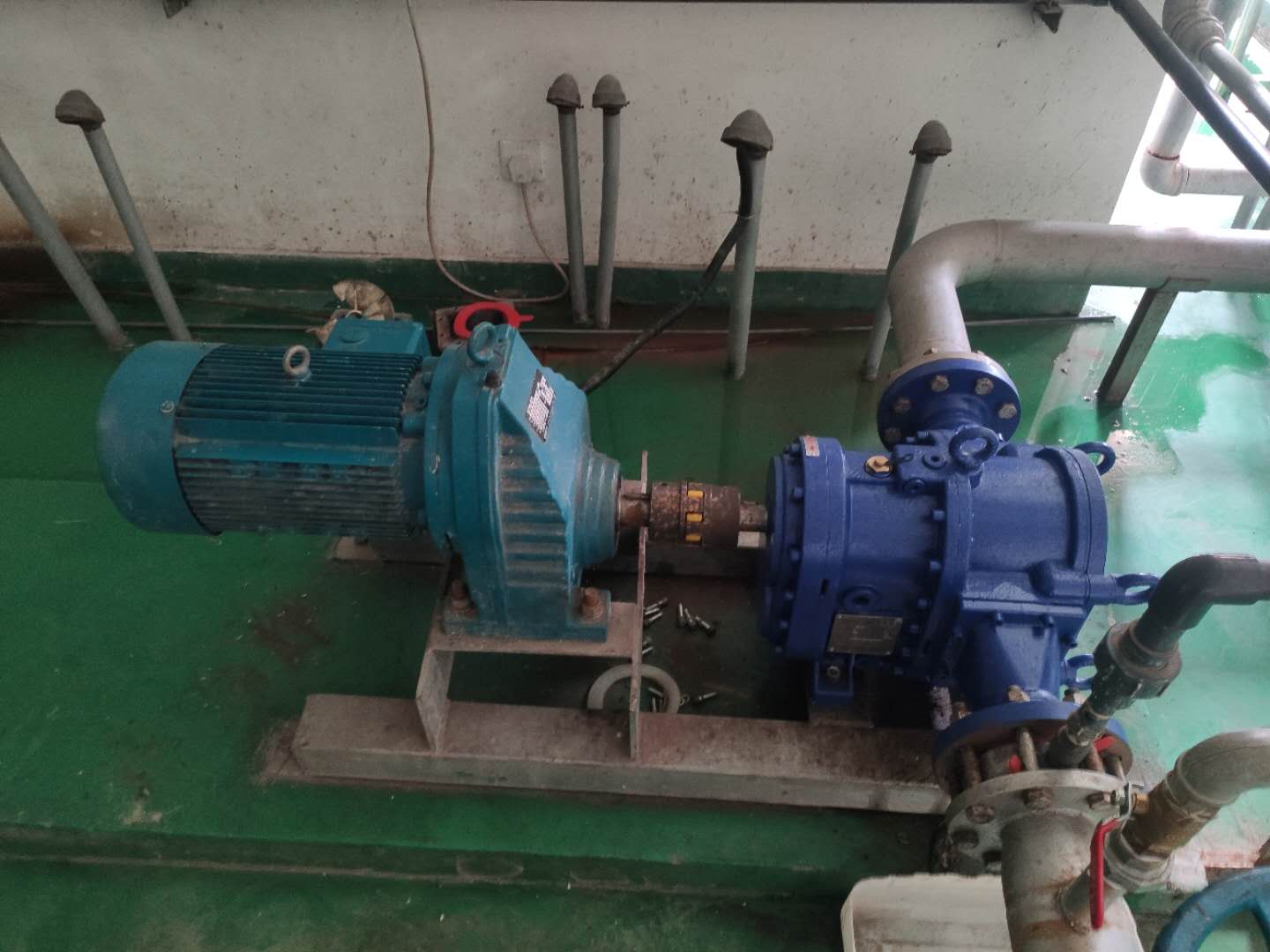 粪便污泥泵采用罗德转子泵替代进口泵